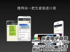 微信網(wǎng)站開發(fā)制作 樂麥專注網(wǎng)站設(shè)計 在線咨詢 微信網(wǎng)站