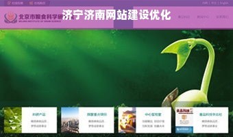 濟(jì)寧濟(jì)南網(wǎng)站建設(shè)優(yōu)化